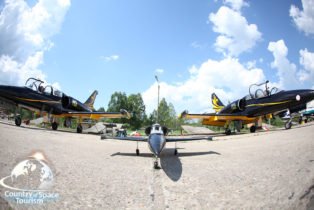 Модель самолета Л-39